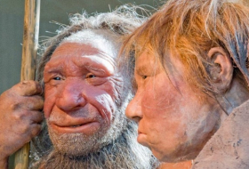 Scientists detect evidence of extinct human cousin in modern DNA 